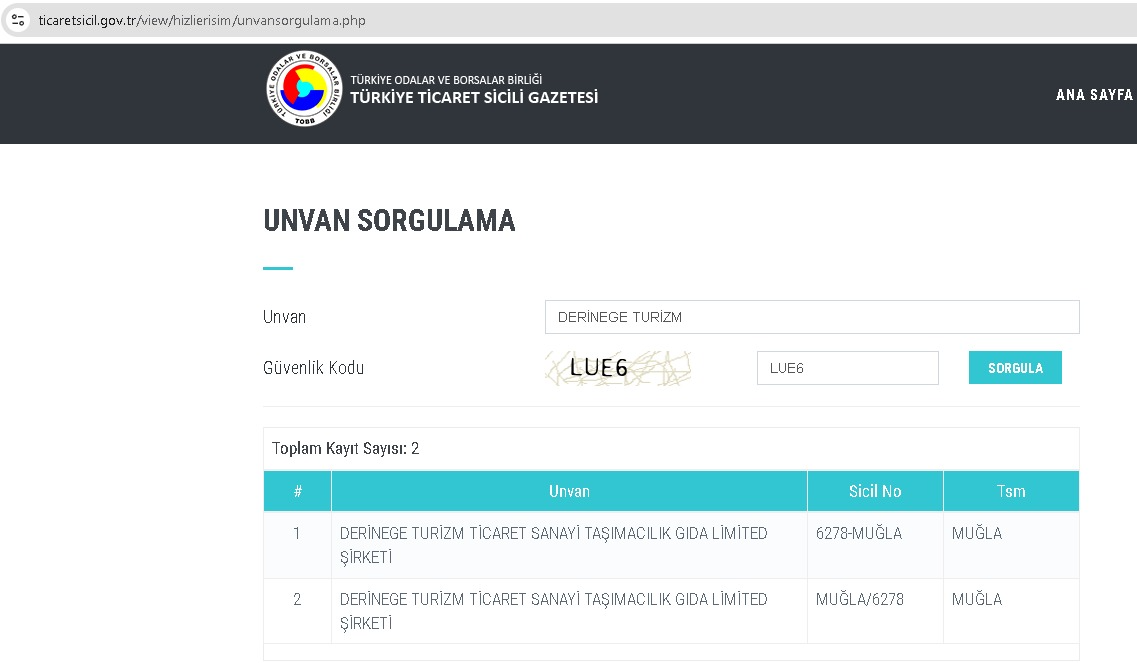 Türkiye Ticaret Sicili Gazetesi Kayıt Ekranı
